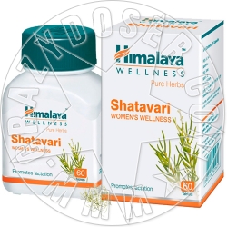 SHATAVARI