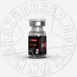 TESTO C 250