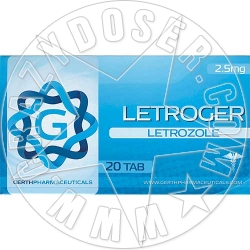 LETROGER